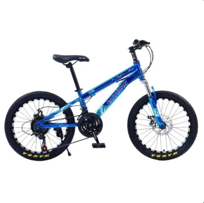 Bicicleta CARAIMAN 20CR, varsta 6 - 12 ani, Roti 20", Frana pe Disc