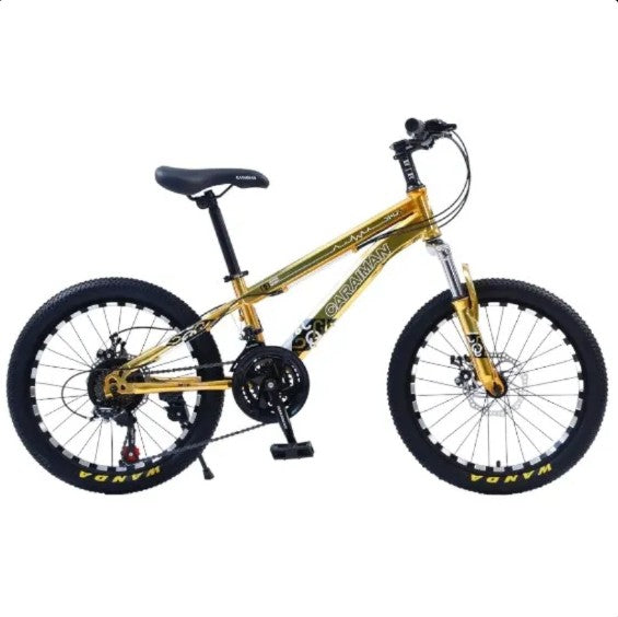 Bicicleta CARAIMAN 20CR, varsta 6 - 12 ani, Roti 20", Frana pe Disc