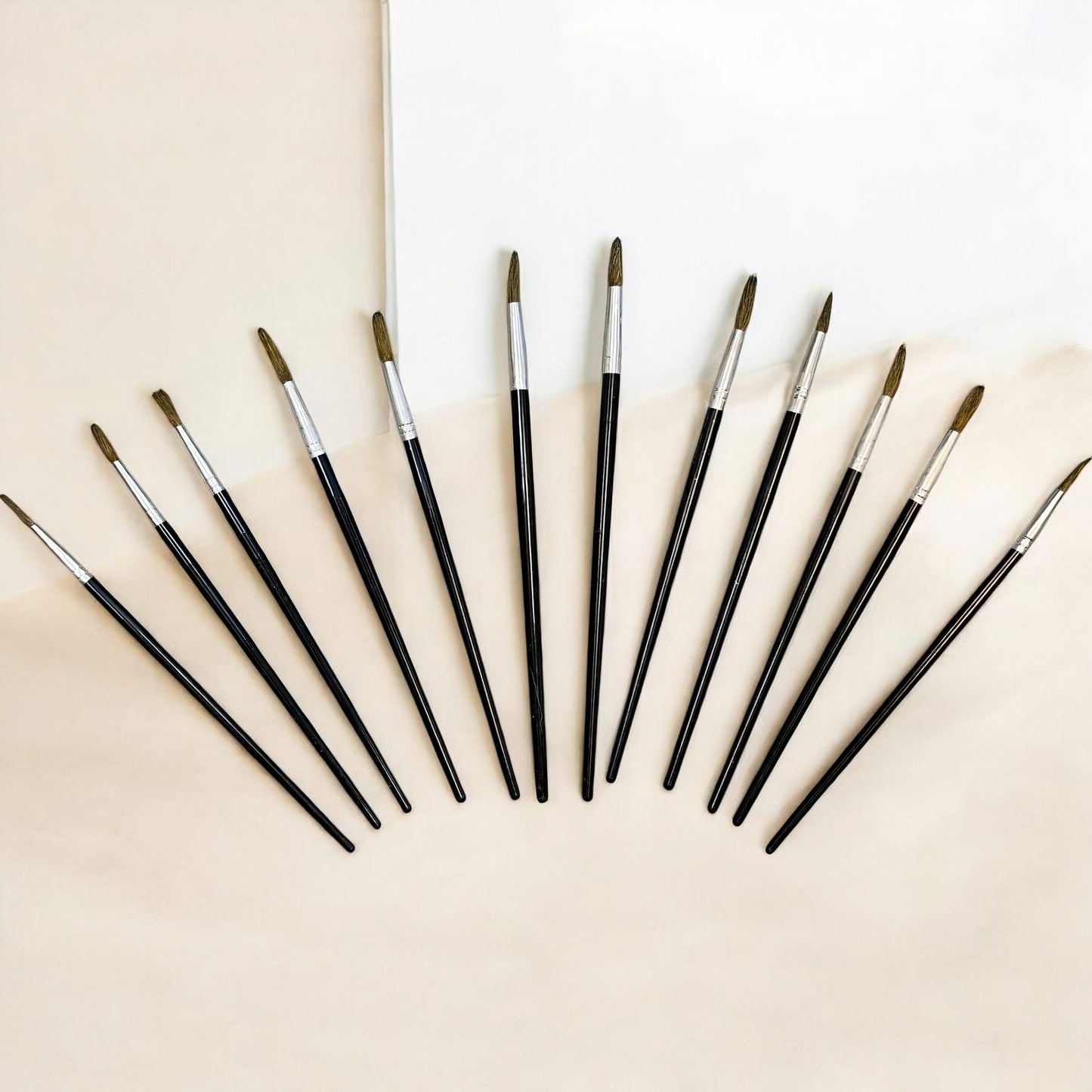 Set Pensule Subtiri pentru Pictura 12 bucati/set cu Maner din Lemn, cu Diferite Dimensiuni