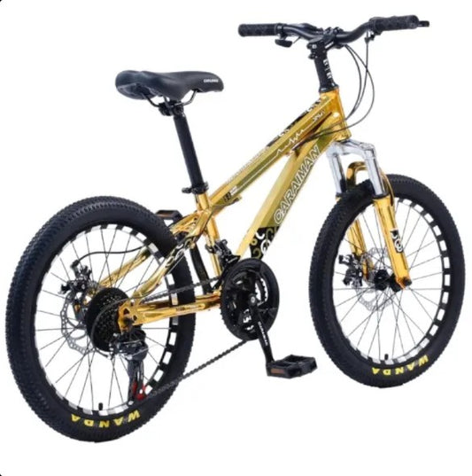 Bicicleta CARAIMAN 20CR, varsta 6 - 12 ani, Roti 20", Frana pe Disc