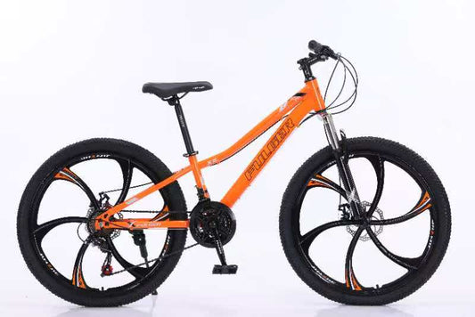 Bicicleta Fulger, 26XJL-T6, Roz, 26 inch, Cadru Otel, Frane pe Disc, 21 Viteze