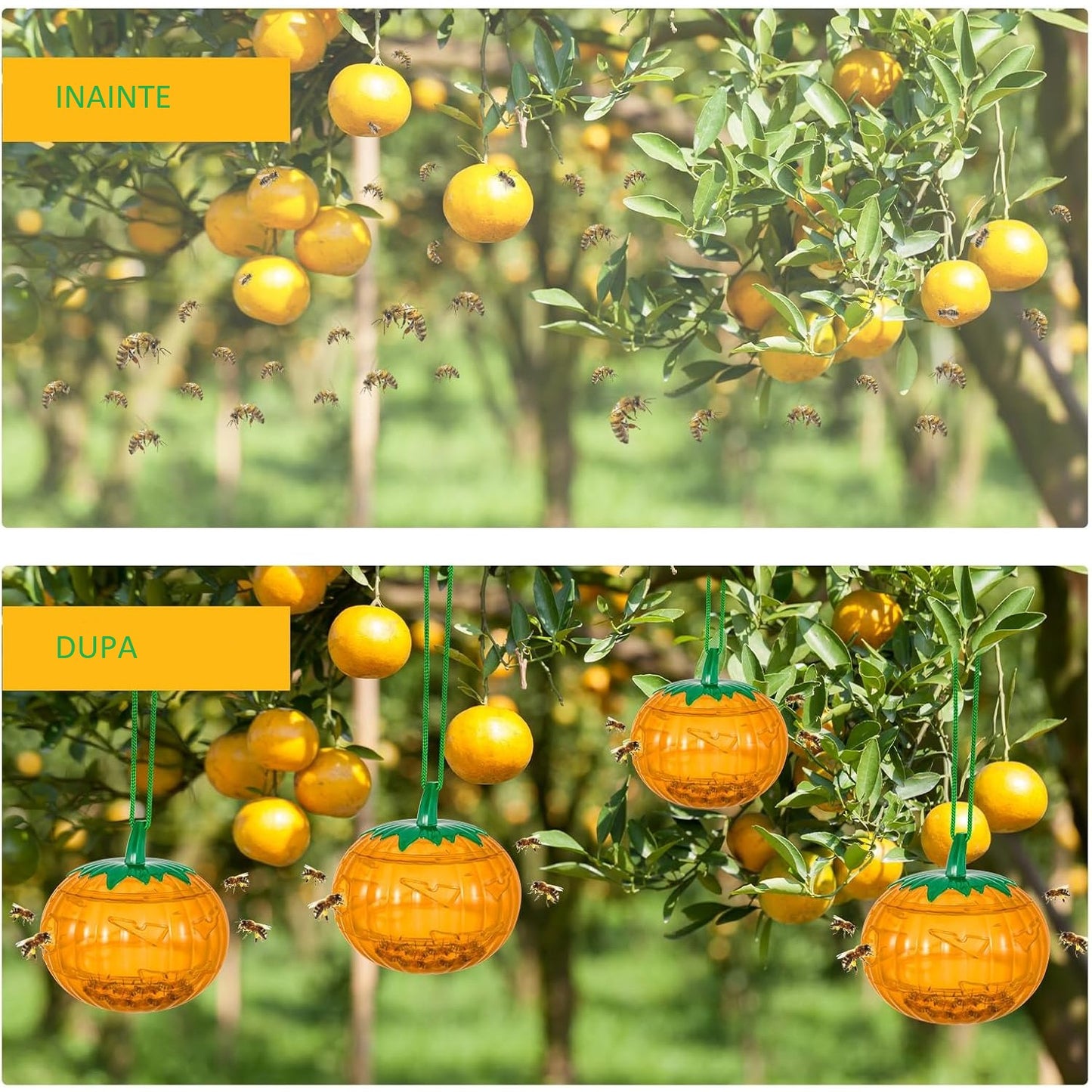 Set 2 Capcane pentru Insecte, Forma de Dovleac, 12x9.2x12.2 cm, din ABS, Portocaliu